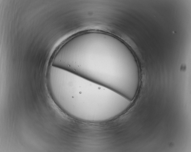 X0000111221028200907020955