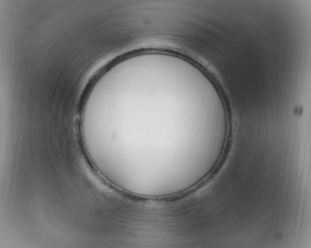 X0000111221029200907020955