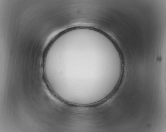 X0000111221030200907020955