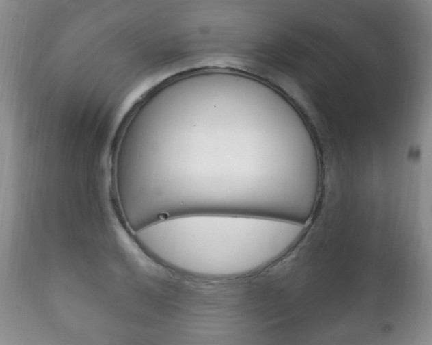 X0000111221032200907020955