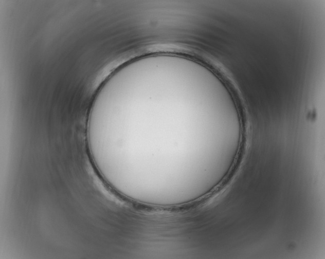 X0000111221033200907020955