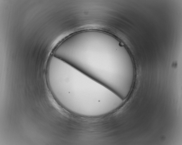 X0000111221034200907020955