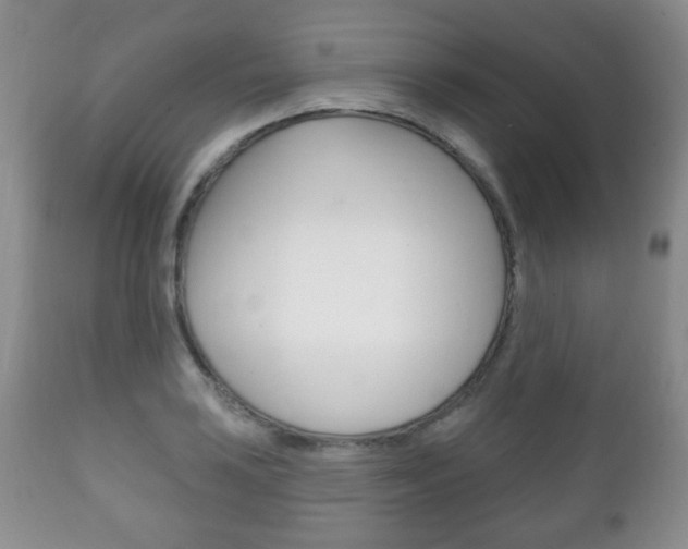 X0000111221035200907020955