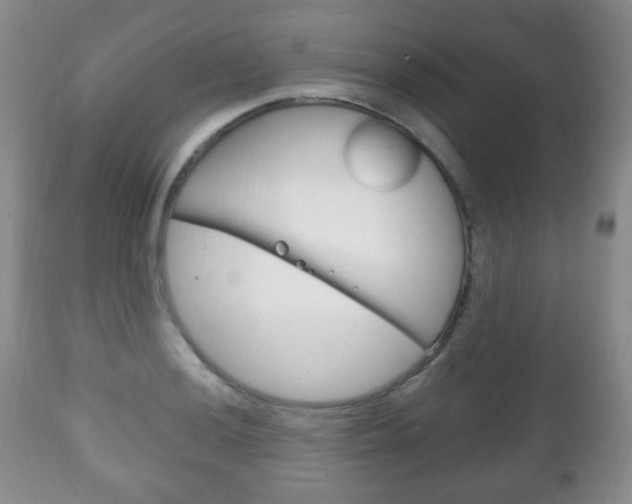 X0000111221036200907020955
