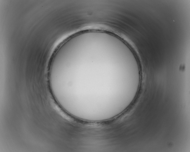 X0000111221037200907020955