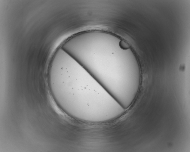X0000111221038200907020955