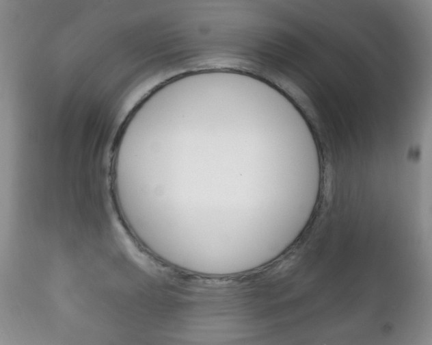 X0000111221039200907020955