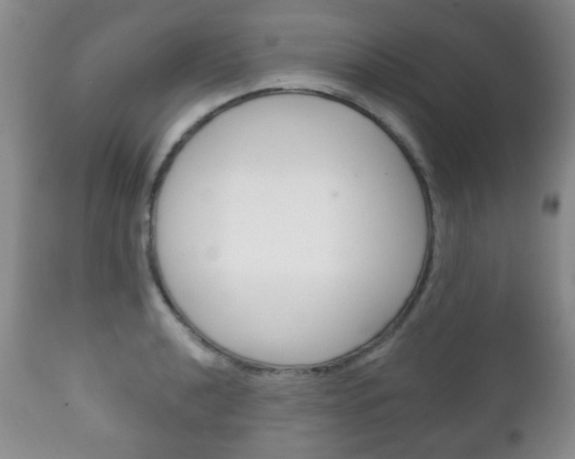 X0000111221040200907020955