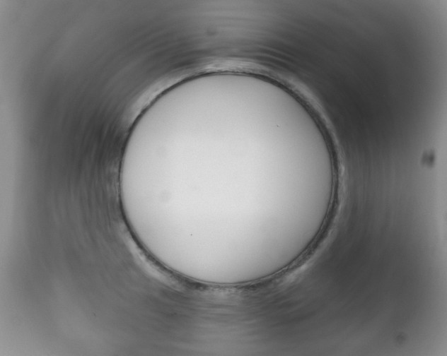 X0000111221041200907020955