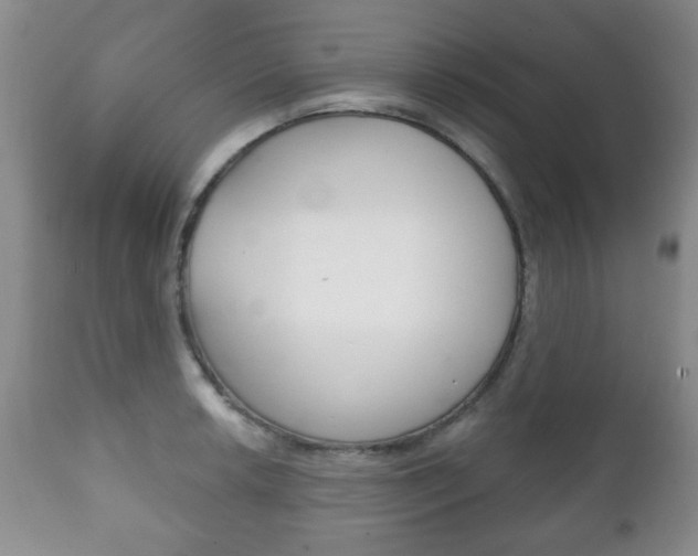 X0000111221042200907020955