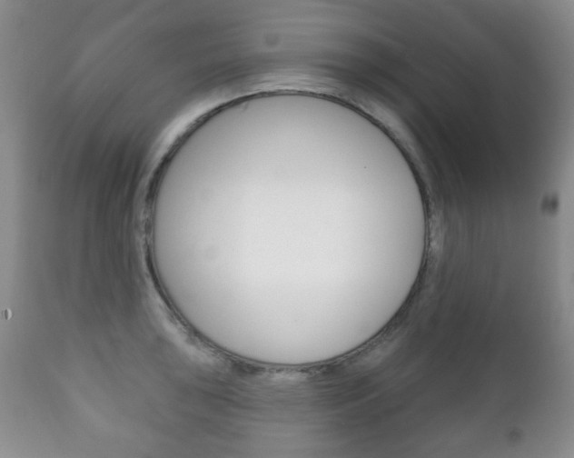 X0000111221043200907020955