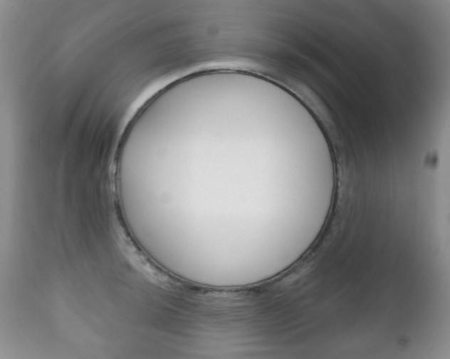 X0000111221044200907020955