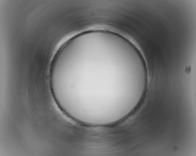 X0000111221045200907020955