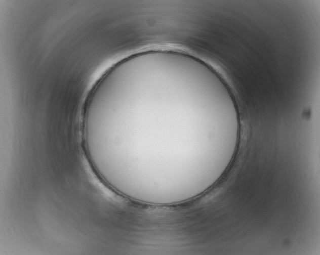 X0000111221046200907020955