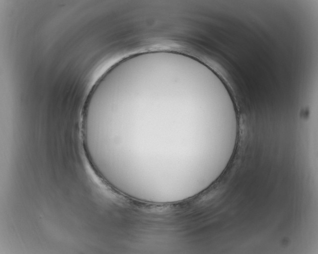 X0000111221047200907020955