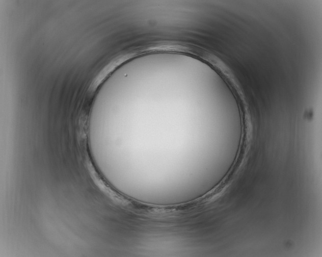 X0000111221049200907020955