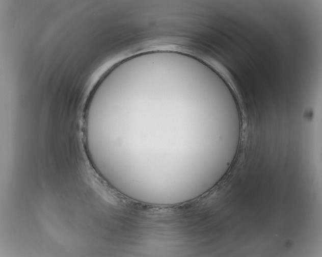 X0000111221051200907020955