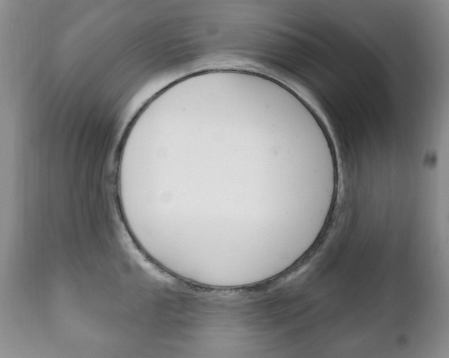 X0000111221053200907020955