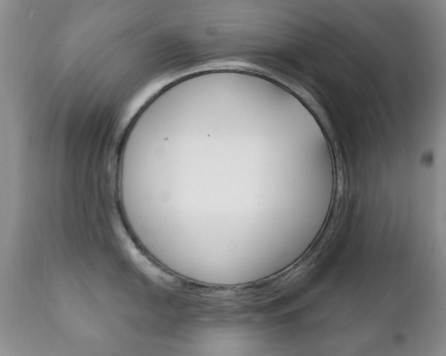 X0000111221054200907020955