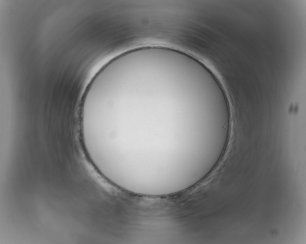 X0000111221056200907020955