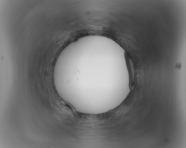 X0000111221057200907020955