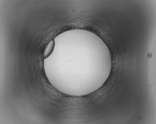 X0000111221058200907020955