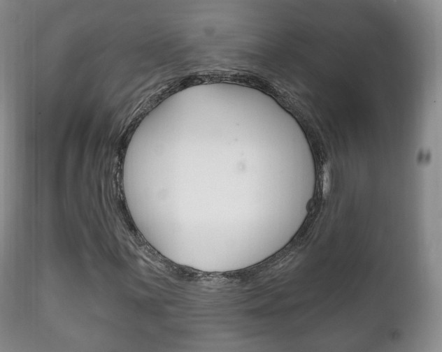 X0000111221059200907020955