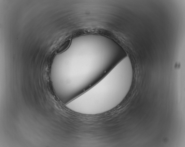 X0000111221060200907020955