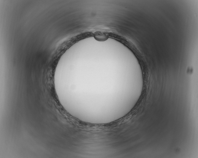 X0000111221063200907020954