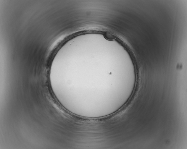 X0000111221067200907020954