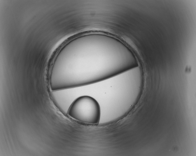 X0000111221068200907020954