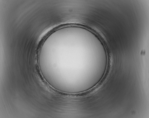 X0000111221069200907020954
