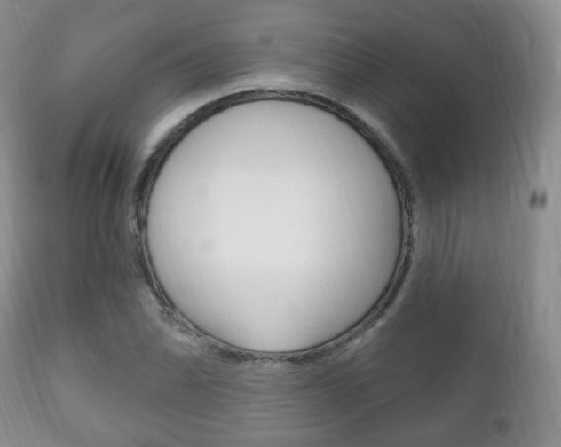 X0000111221070200907020954