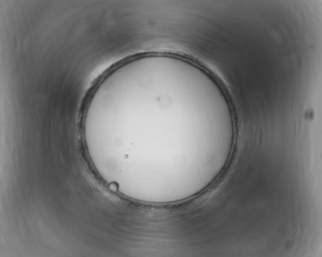 X0000111221071200907020954