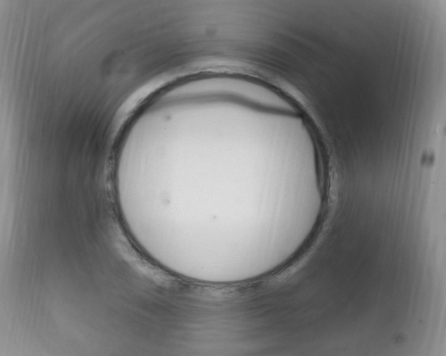 X0000111221074200907020954
