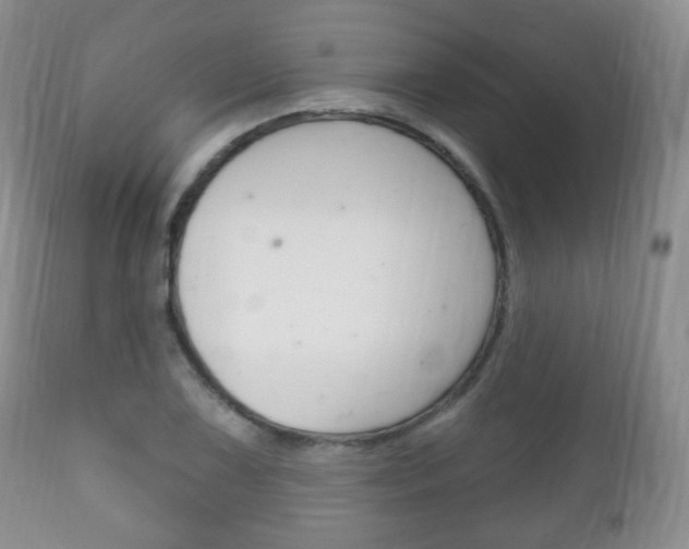 X0000111221075200907020954