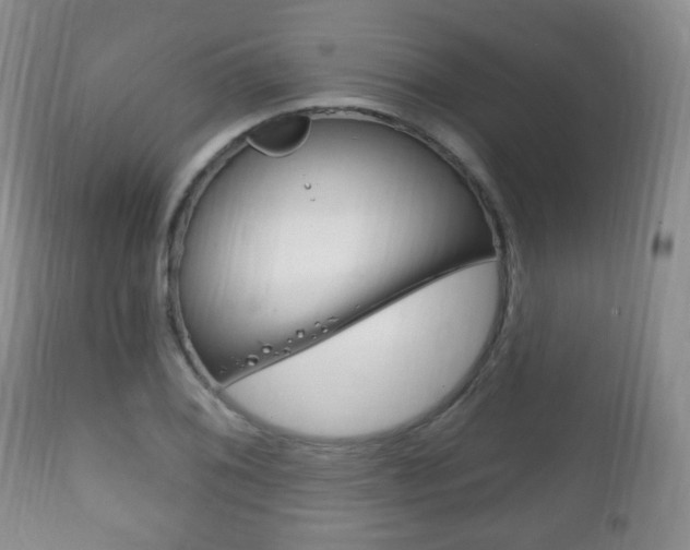 X0000111221076200907020954