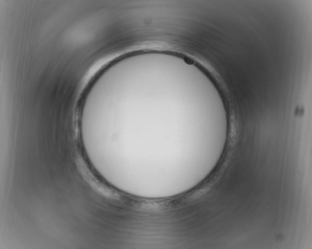 X0000111221078200907020954