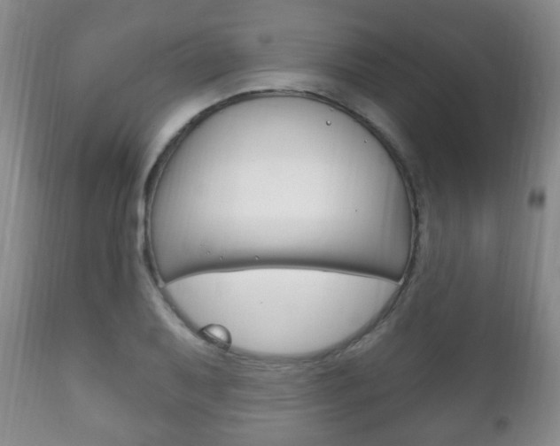 X0000111221079200907020954