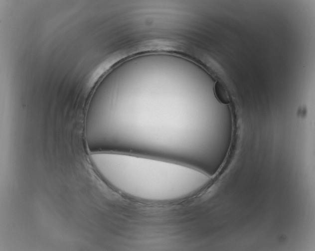 X0000111221081200907020954
