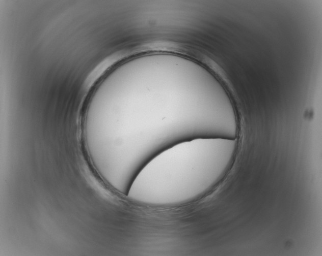 X0000111221082200907020954