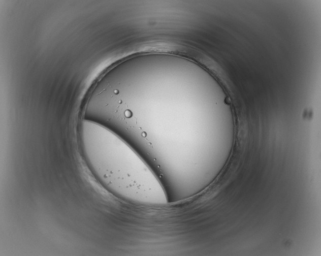 X0000111221083200907020954