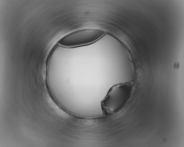 X0000111221084200907020954