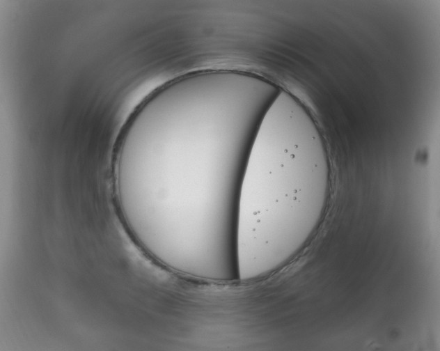 X0000111221087200907020954