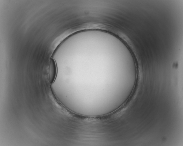 X0000111221089200907020954