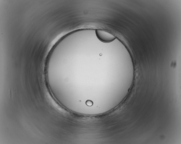 X0000111221091200907020954