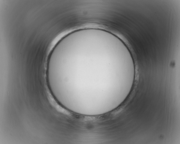 X0000111221094200907020954