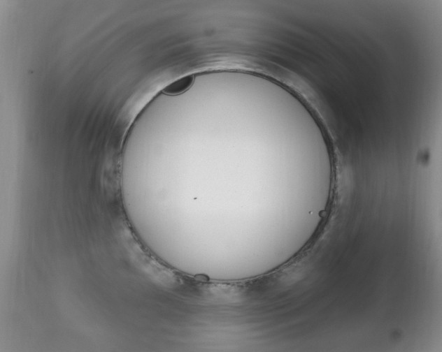 X0000111221097200907020954