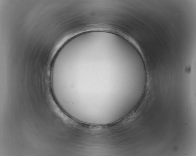 X0000111221099200907020954