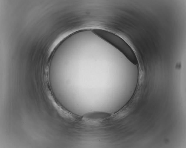 X0000111221101200907020954